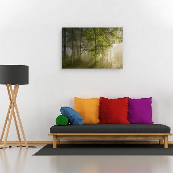 Tablou Canvas - Frumusetea Diminetii, Marime: 40 x 60 cm - 2- Roveli