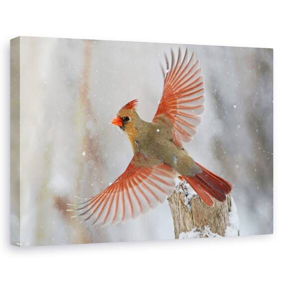 Tablou Canvas - Furtuna De Zapada, Marime: 40 x 60 cm - - Roveli