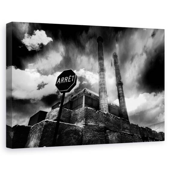 Tablou Canvas - II, Marime: 40 x 60 cm - - Roveli