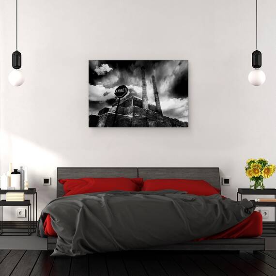 Tablou Canvas - II, Marime: 40 x 60 cm - 3- Roveli