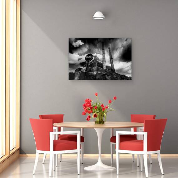 Tablou Canvas - II, Marime: 40 x 60 cm - 4- Roveli