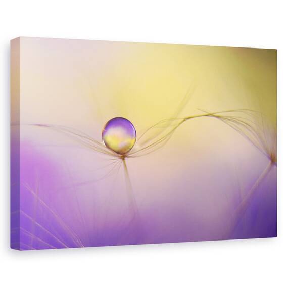 Tablou Canvas - In Brate, Marime: 40 x 60 cm - - Roveli