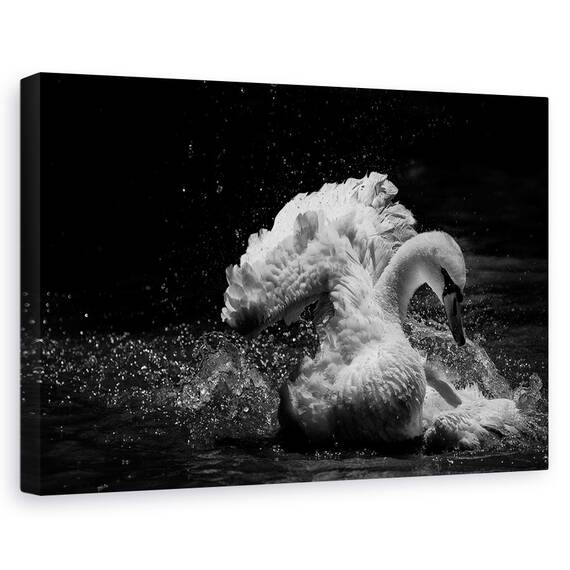 Tablou Canvas - In Miscare, Marime: 40 x 60 cm - - Roveli