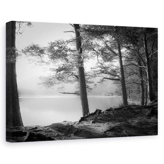 Tablou Canvas - Loch An Eilein, Marime: 40 x 60 cm - - Roveli