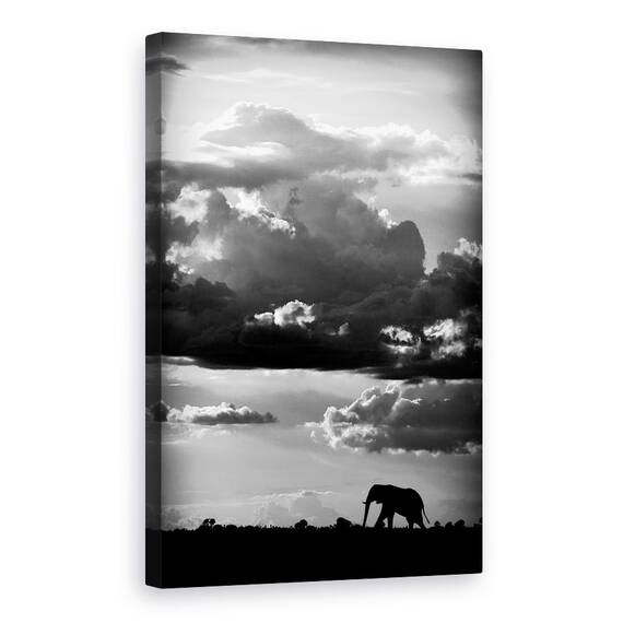 Tablou Canvas - Mergand Sub Cerul African, Marime: 40 x 60 cm - - Roveli