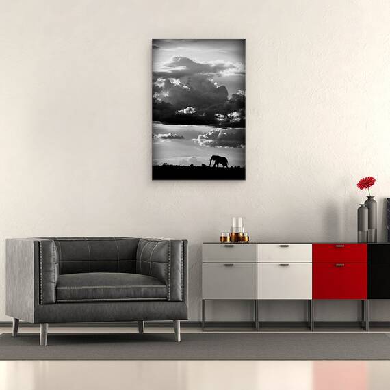 Tablou Canvas - Mergand Sub Cerul African, Marime: 40 x 60 cm - 2- Roveli