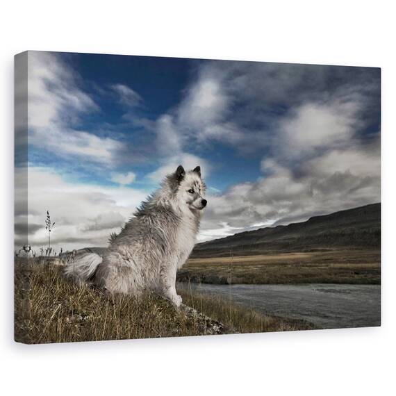 Tablou Canvas - Moment In Timp, Marime: 40 x 60 cm - - Roveli