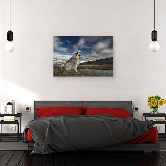 Tablou Canvas - Moment In Timp, Marime: 40 x 60 cm - 3- Roveli