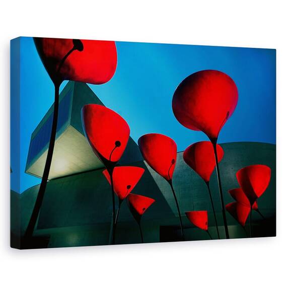 Tablou Canvas - Muzeul Maxxi, Marime: 40 x 60 cm - - Roveli