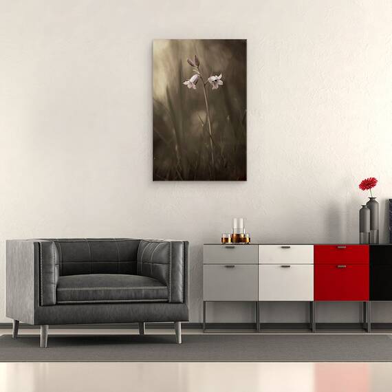 Tablou Canvas - O Floare Mica Pe Pamant, Marime: 40 x 60 cm - 2- Roveli