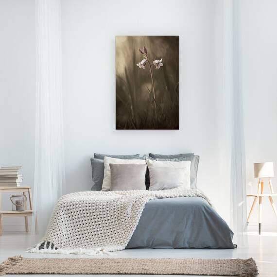 Tablou Canvas - O Floare Mica Pe Pamant, Marime: 40 x 60 cm - 3- Roveli