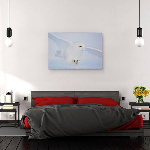 Tablou Canvas - Ochi De Aur La Vanatoare, Marime: 40 x 60 cm - 3- Roveli