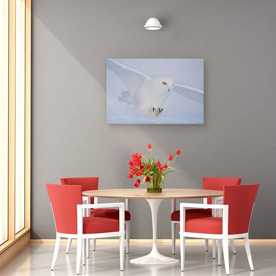 Tablou Canvas - Ochi De Aur La Vanatoare, Marime: 40 x 60 cm - 4- Roveli
