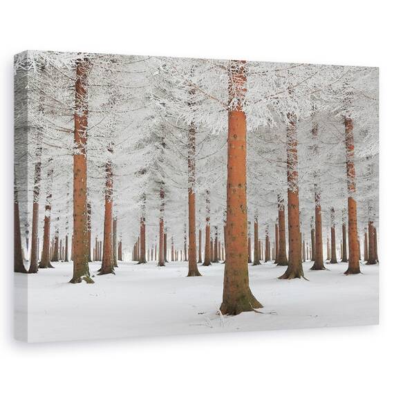 Tablou Canvas - Padure Magica, Marime: 40 x 60 cm - - Roveli