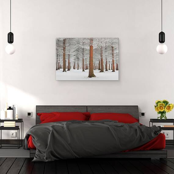 Tablou Canvas - Padure Magica, Marime: 40 x 60 cm - 3- Roveli