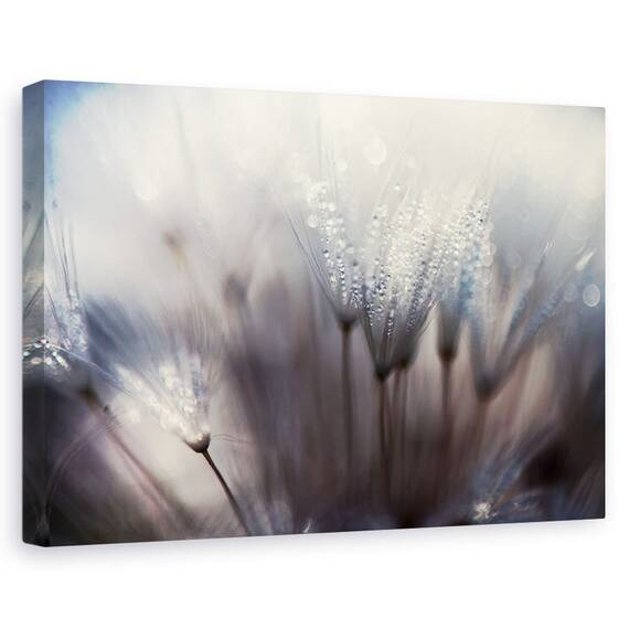 Tablou Canvas - Padurea, Marime: 40 x 60 cm - - Roveli