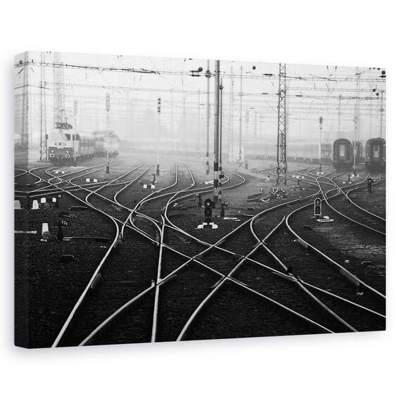 Tablou Canvas - Pasager De Noiembrie, Marime: 40 x 60 cm - - Roveli
