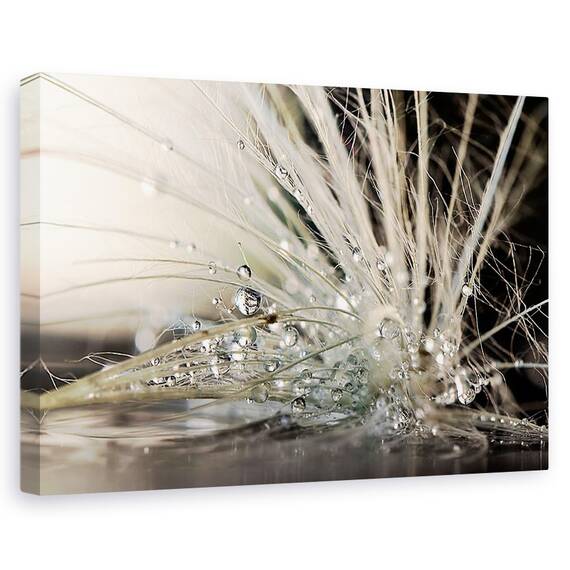 Tablou Canvas - Perle, Marime: 40 x 60 cm - - Roveli