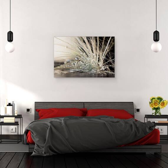 Tablou Canvas - Perle, Marime: 40 x 60 cm - 3- Roveli