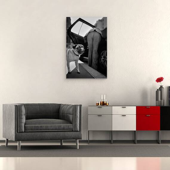 Tablou Canvas - Pet, Marime: 40 x 60 cm - 2- Roveli