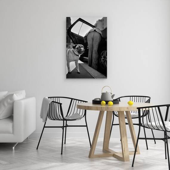 Tablou Canvas - Pet, Marime: 40 x 60 cm - 4- Roveli