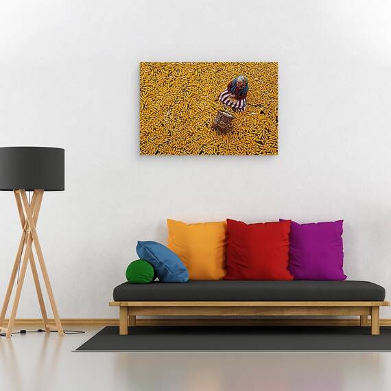 Tablou Canvas - Porumb, Marime: 40 x 60 cm - 2- Roveli