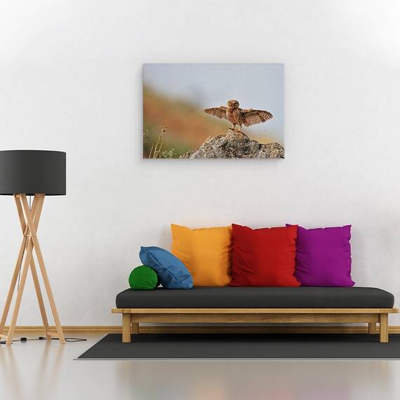Tablou Canvas - Pot Sa Zbor, Marime: 40 x 60 cm - 2- Roveli