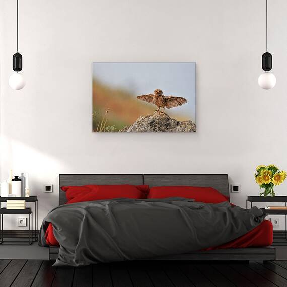 Tablou Canvas - Pot Sa Zbor, Marime: 40 x 60 cm - 3- Roveli