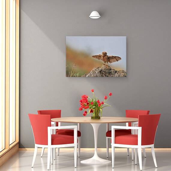Tablou Canvas - Pot Sa Zbor, Marime: 40 x 60 cm - 4- Roveli