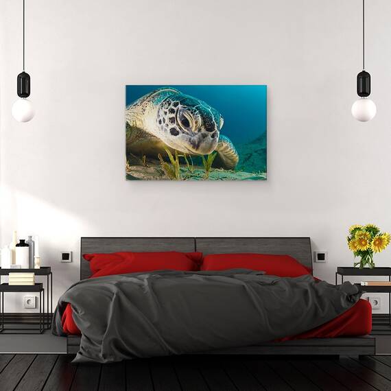 Tablou Canvas - Priveste, Marime: 40 x 60 cm - 3- Roveli