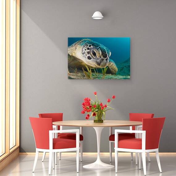 Tablou Canvas - Priveste, Marime: 40 x 60 cm - 4- Roveli
