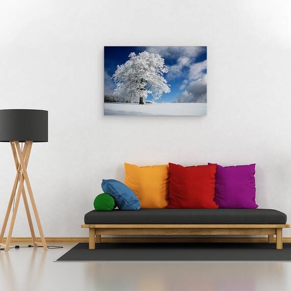 Tablou Canvas - Promoroaca In Padurea Neagra, Marime: 40 x 60 cm - 2- Roveli