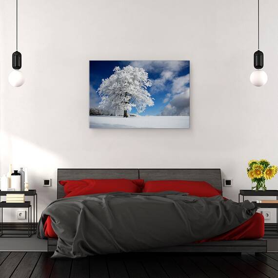 Tablou Canvas - Promoroaca In Padurea Neagra, Marime: 40 x 60 cm - 3- Roveli