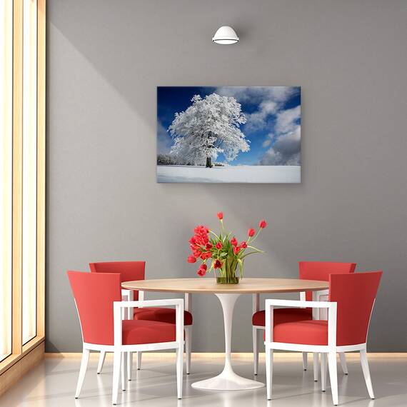 Tablou Canvas - Promoroaca In Padurea Neagra, Marime: 40 x 60 cm - 4- Roveli
