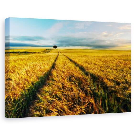 Tablou Canvas - Rural, Marime: 40 x 60 cm - - Roveli