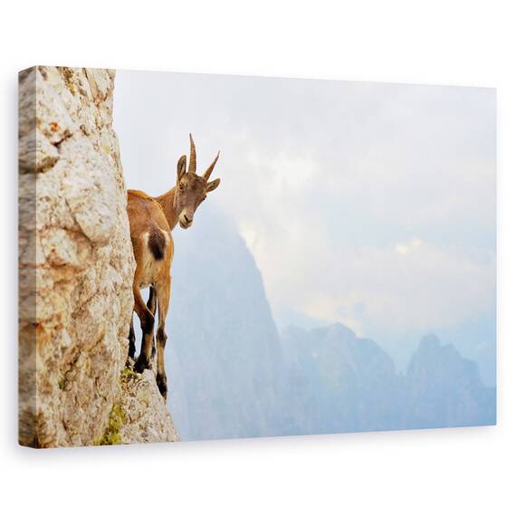 Tablou Canvas - Suspans, Marime: 40 x 60 cm - - Roveli
