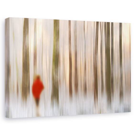 Tablou Canvas - Tacere, Marime: 40 x 60 cm - - Roveli