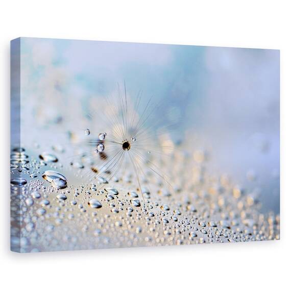 Tablou Canvas - Tarare, Marime: 40 x 60 cm - - Roveli