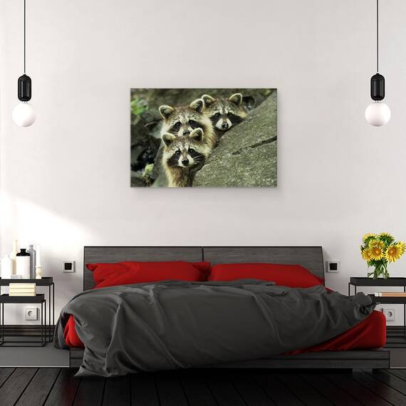 Tablou Canvas - Tres Banditos, Marime: 40 x 60 cm - 3- Roveli