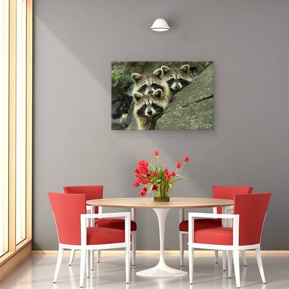 Tablou Canvas - Tres Banditos, Marime: 40 x 60 cm - 4- Roveli