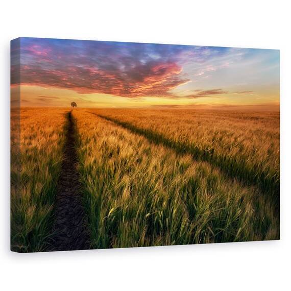 Tablou Canvas - Undeva La Apus, Marime: 40 x 60 cm - - Roveli