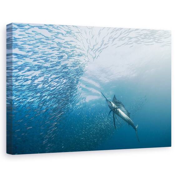Tablou Canvas - Vanator Si Vanat, Marime: 40 x 60 cm - - Roveli