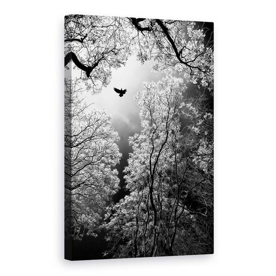Tablou Canvas - Zbor, Marime: 40 x 60 cm - - Roveli