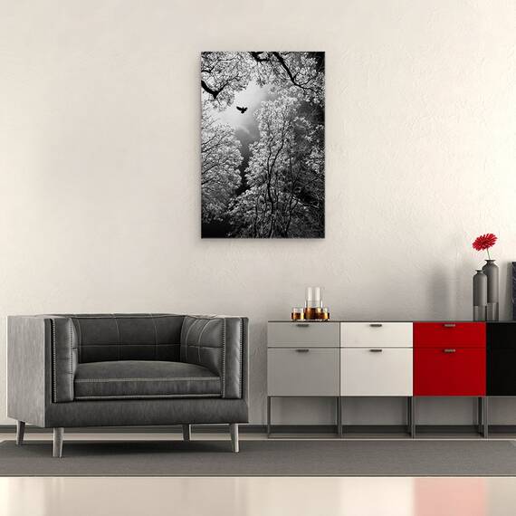 Tablou Canvas - Zbor, Marime: 40 x 60 cm - 2- Roveli