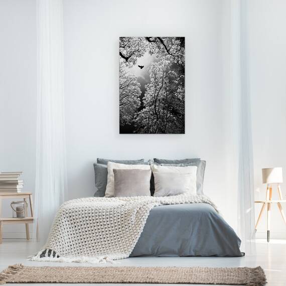 Tablou Canvas - Zbor, Marime: 40 x 60 cm - 3- Roveli