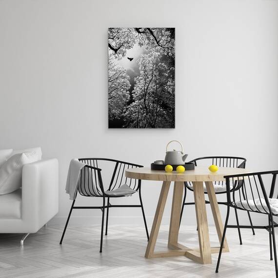Tablou Canvas - Zbor, Marime: 40 x 60 cm - 4- Roveli