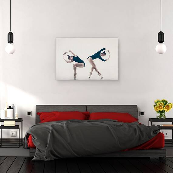Tablou Canvas - Balerini, Marime: 80 x 120 cm - 3- Roveli