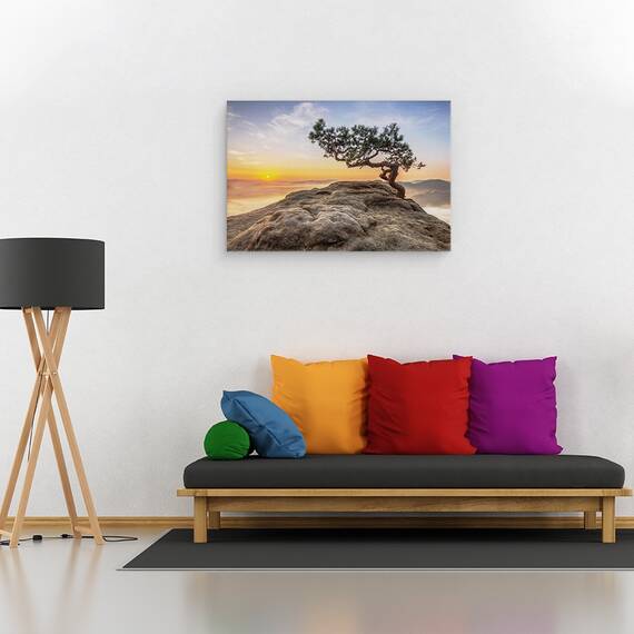 Tablou Canvas - Batranul Pin, Marime: 80 x 120 cm - 2- Roveli
