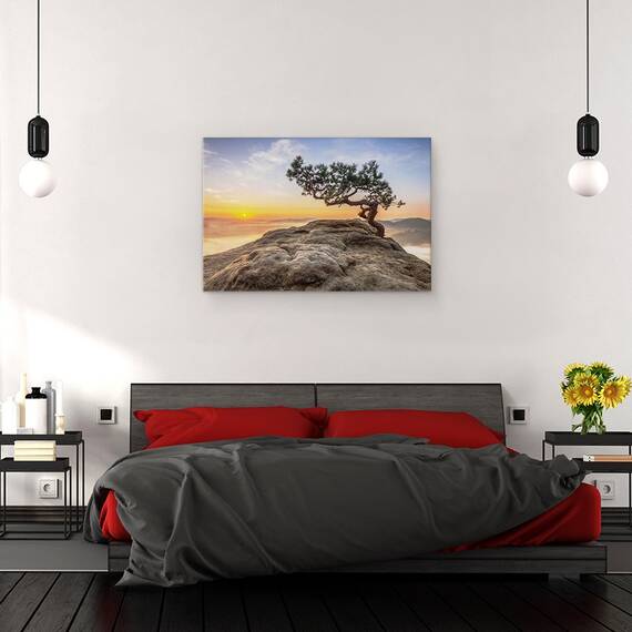 Tablou Canvas - Batranul Pin, Marime: 80 x 120 cm - 3- Roveli