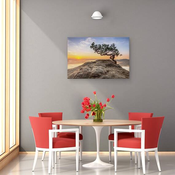 Tablou Canvas - Batranul Pin, Marime: 80 x 120 cm - 4- Roveli